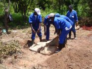 Explosive Ordnance Disposal Training – destruction of rocket warheads and mortars.